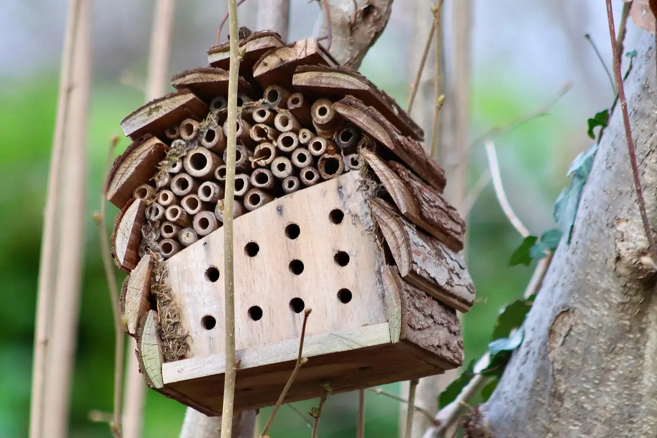 Naturschutz in Hörstel