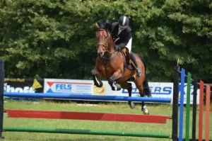 Reiten und Reitsport in Hörstel