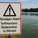 Blaualgen im Torfmoorsee
