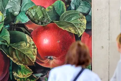 302168V BIOPHILIA – Von Pflanzen und Menschen: Kunst trifft Natur in Hörstel