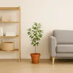 Minimalismus in Hörstel